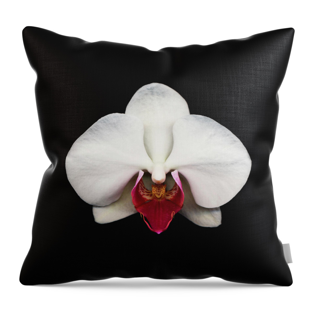 Black Background Throw Pillow featuring the photograph Moth Orchid Against Black Background by Mike Hill