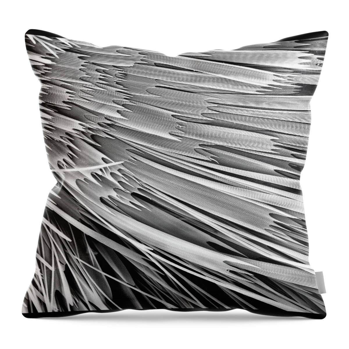 Microscope Throw Pillow featuring the photograph Moth Scales, Sem by Sheri Neva
