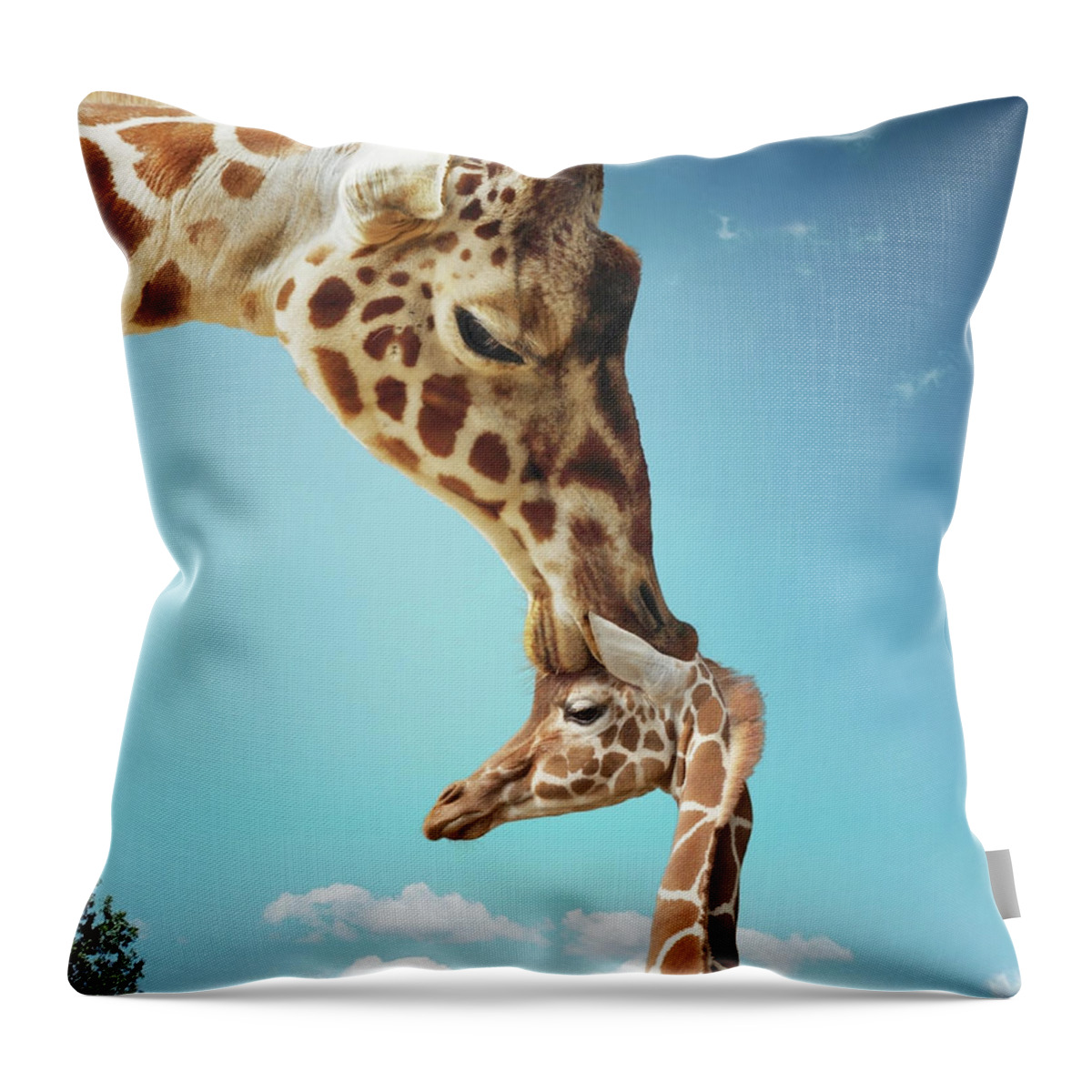 Security Throw Pillow featuring the photograph Mother Giraffe Nuzzling Calfs Head by Gandee Vasan