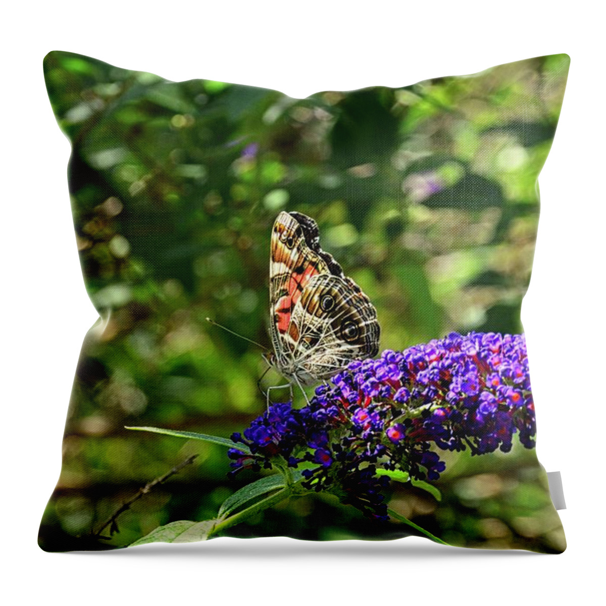 Admiral Butterfly 2 Throw Pillow featuring the photograph Admiral Butterfly 2 by Lisa Wooten