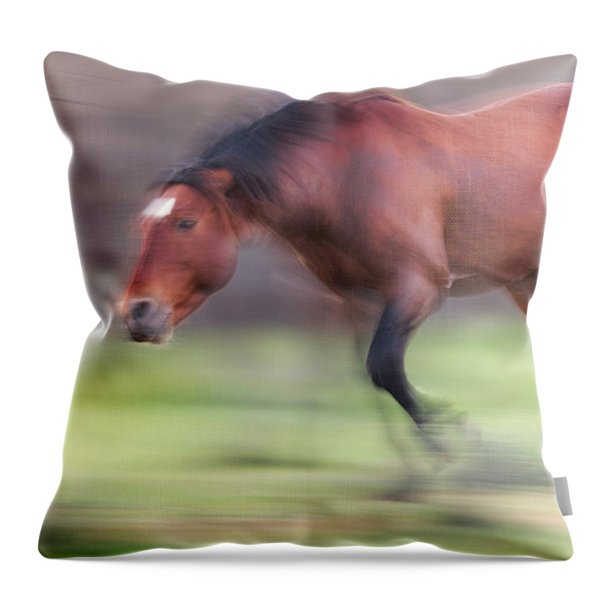 Action Throw Pillow featuring the photograph Motion by Shannon Hastings
