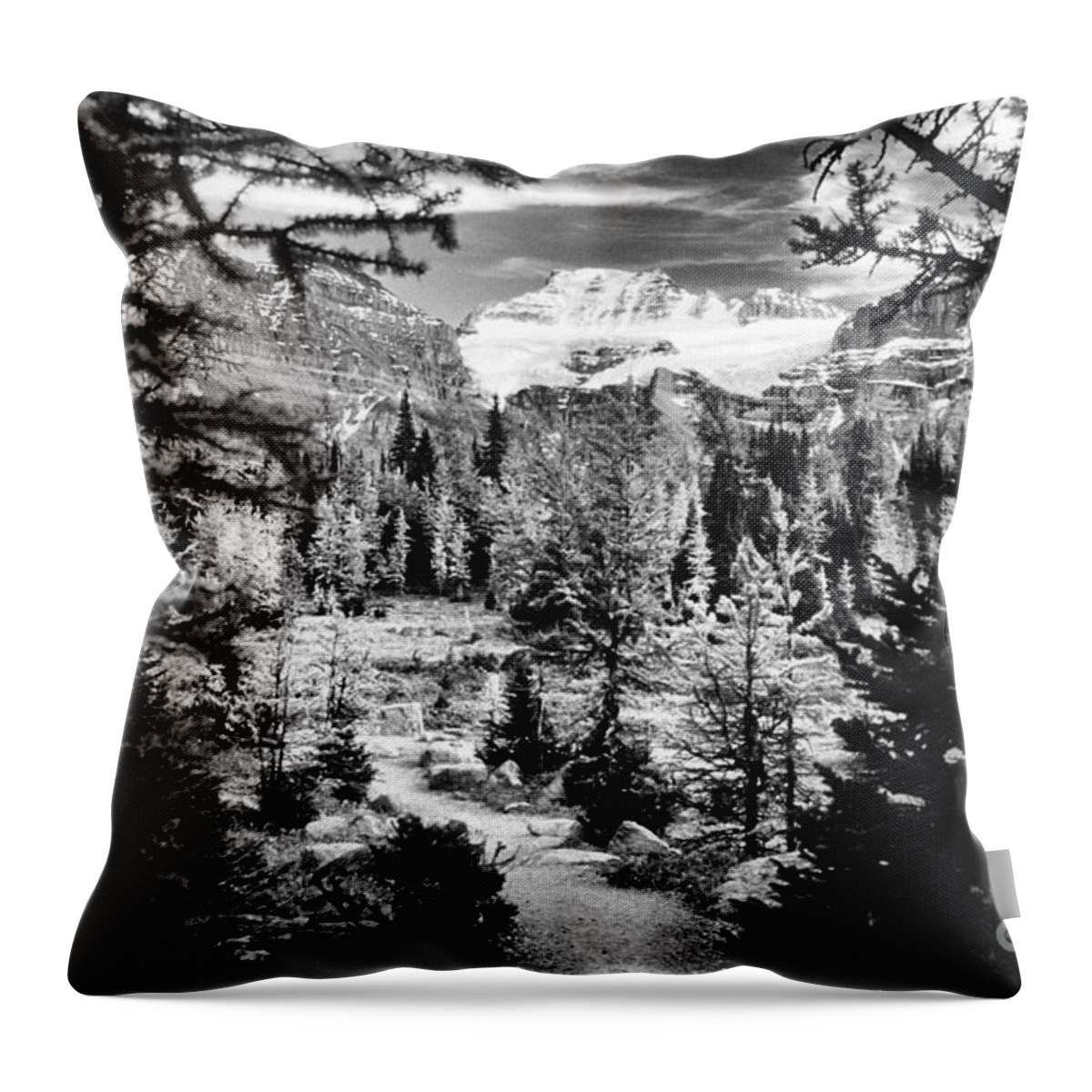 Fine Art Black And White Throw Pillow featuring the photograph Mount Fay from Larch Valley Trail by Steve Ember