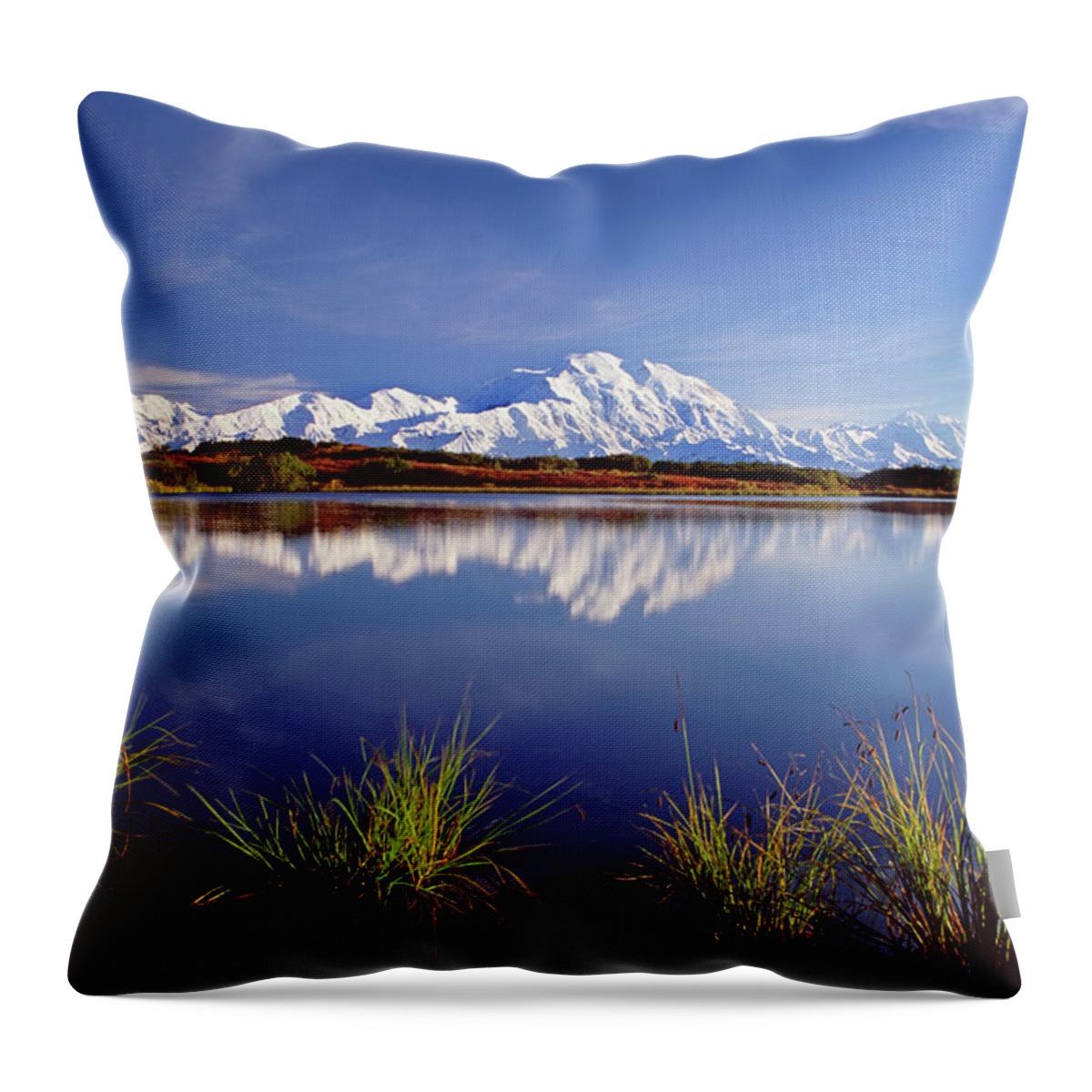 Tranquility Throw Pillow featuring the photograph Mount Mckinley In Denali National Park by Mint Images - David Schultz