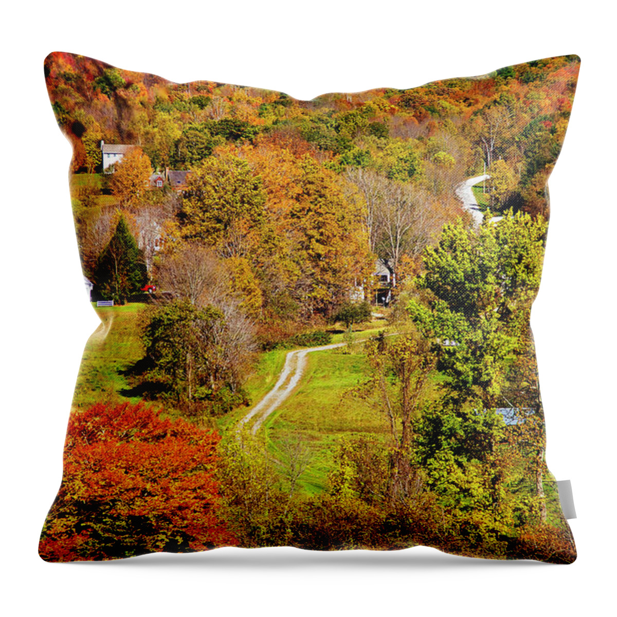 Estock Throw Pillow featuring the digital art Mountain Autumn Scene, Vermont by Claudia Uripos