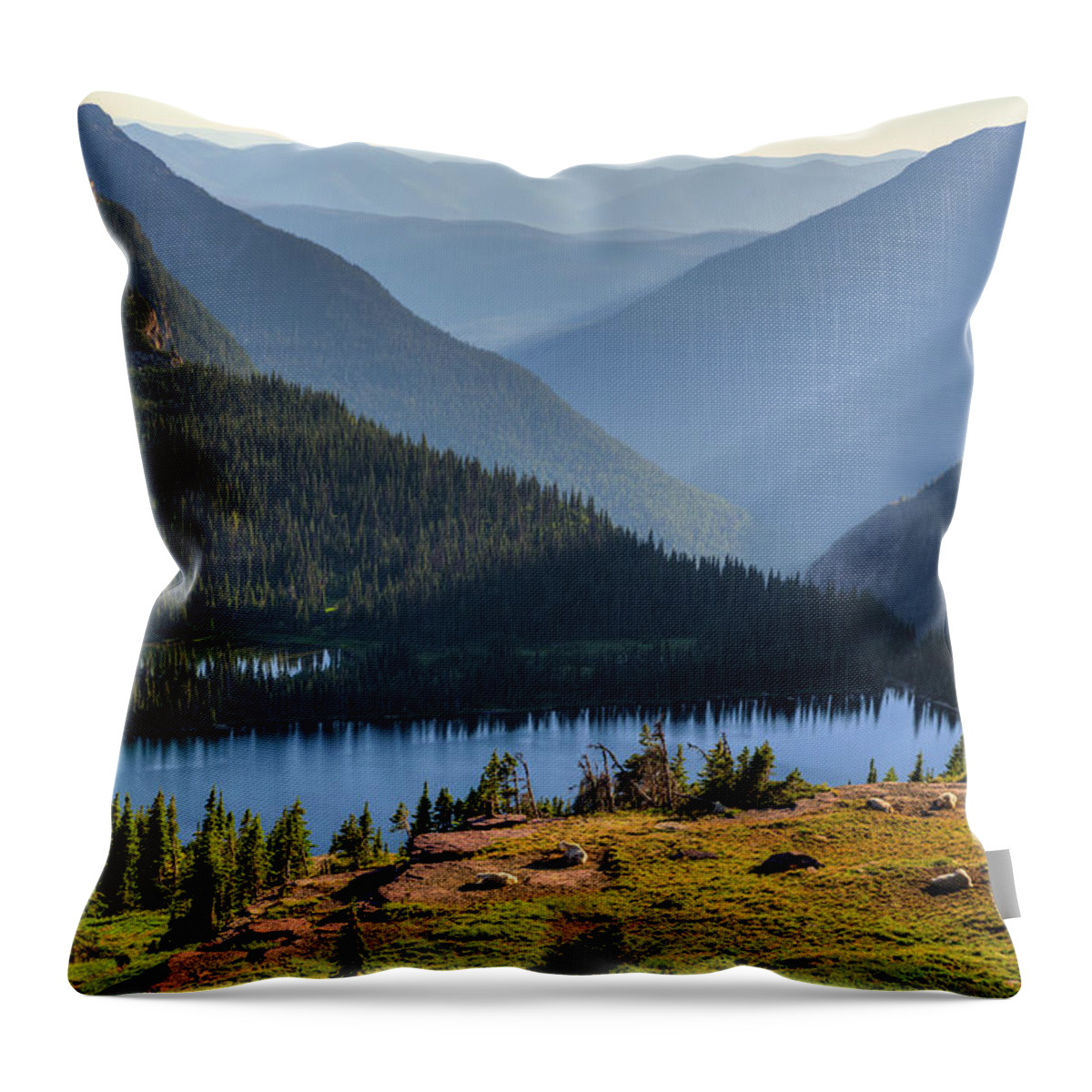 Tranquility Throw Pillow featuring the photograph Mountain Goats Resting by Jeff Krause Photography