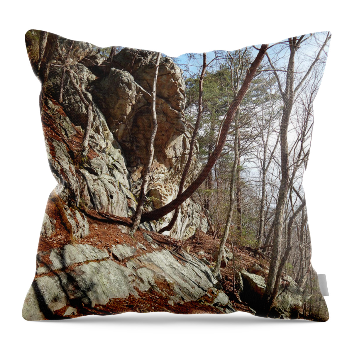 Knoxville Throw Pillow featuring the photograph Mountain Landscape by Phil Perkins