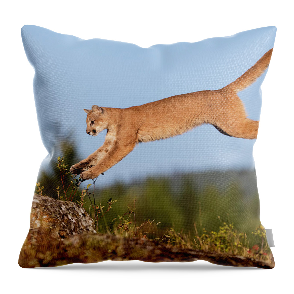 Animal Themes Throw Pillow featuring the photograph Mountain Loin by Gary Samples