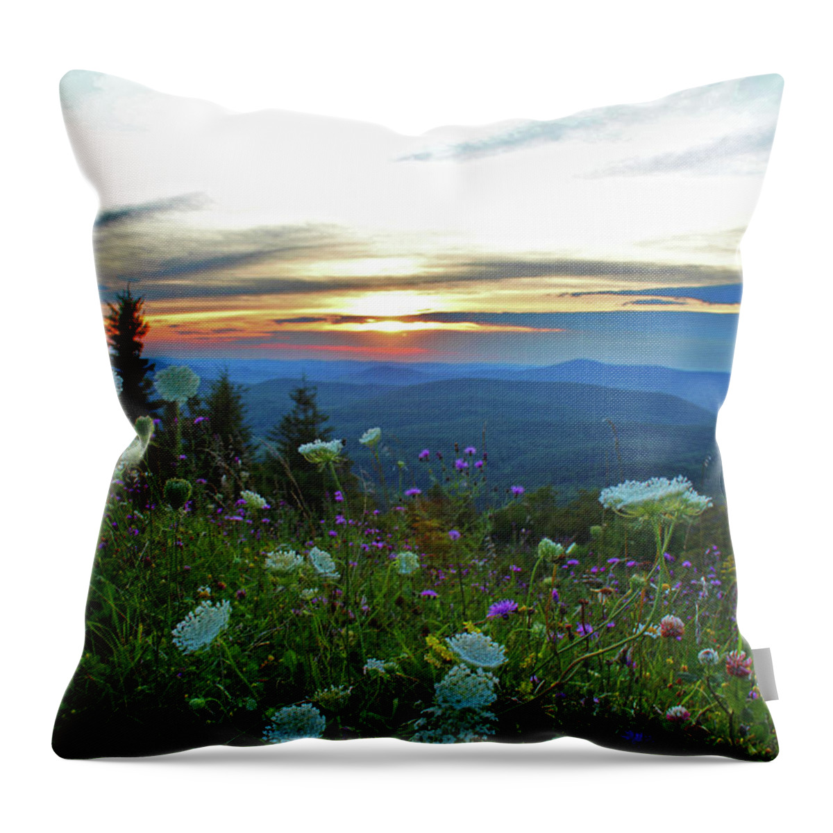 Mountain Wildflowers Throw Pillow featuring the photograph Mountain Wildflowers by Linda Sannuti