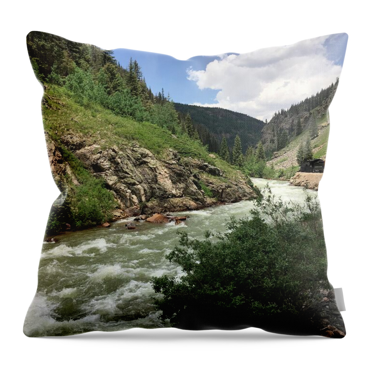 Mountain Water River Colorado Outdoors Nature Landscape Throw Pillow featuring the photograph Mountain water train by Will Burlingham