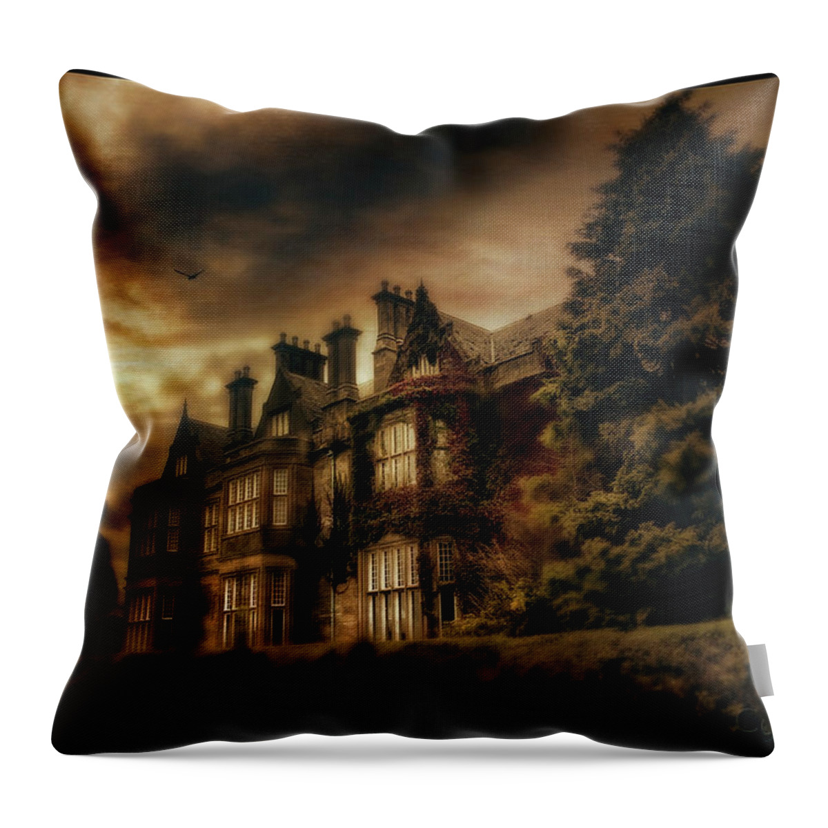 Ireland Throw Pillow featuring the photograph Muckross by Cybele Moon
