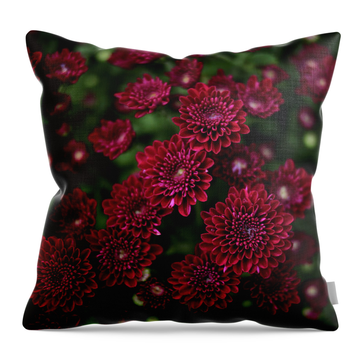 Chrysanthemum Throw Pillow featuring the photograph Mums by Stamp City