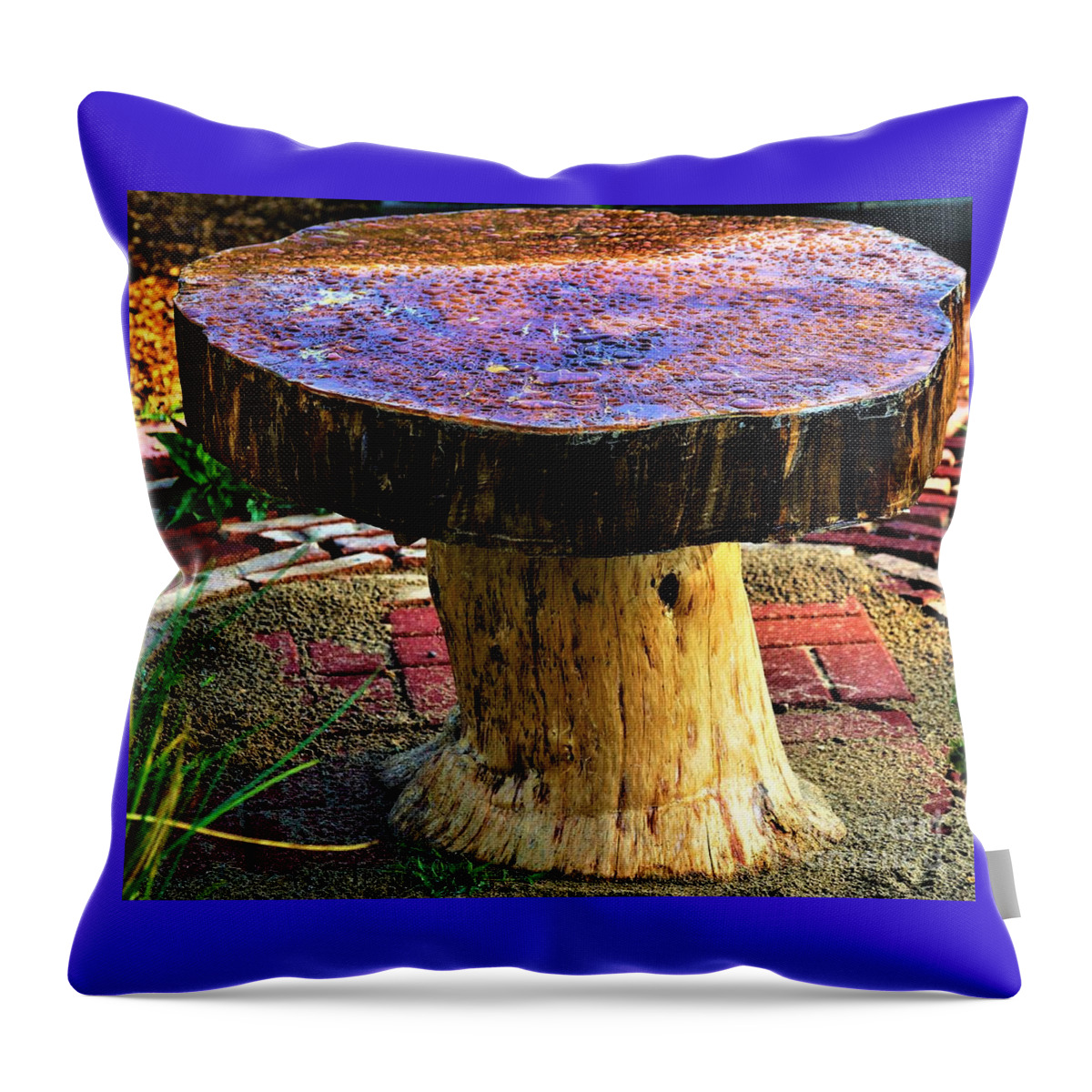 Table Throw Pillow featuring the photograph Mushroom Table by Merle Grenz