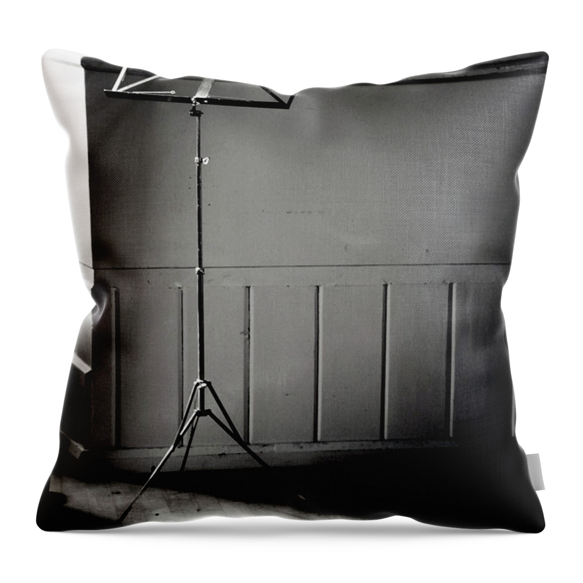 Bradford Throw Pillow featuring the photograph Music is a language that doesnt speak in particular words It speaks in emotions, and if it is in th by Jez C Self