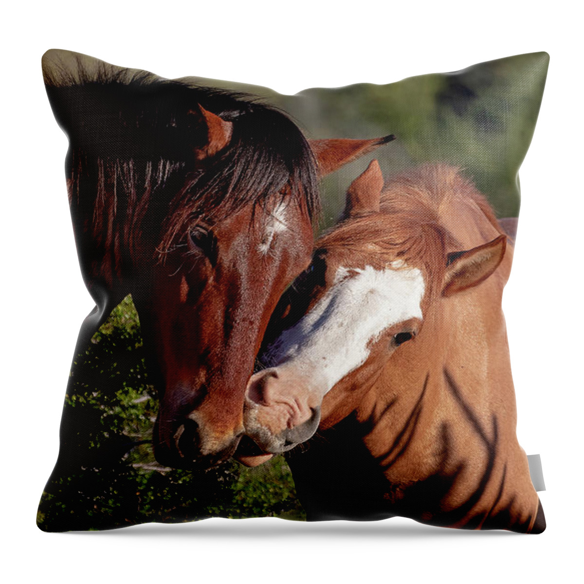 Wild Horses Throw Pillow featuring the photograph Mustang Greeting by Mindy Musick King