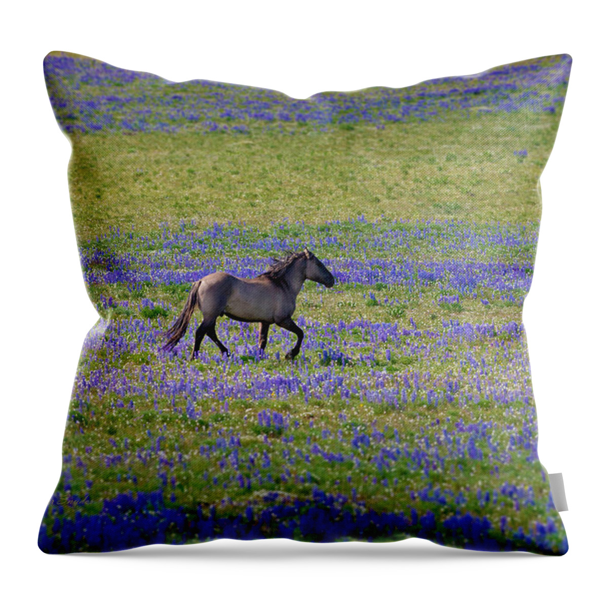 Beautiful Photos Throw Pillow featuring the photograph Mustang in Lupine 1 by Roger Snyder