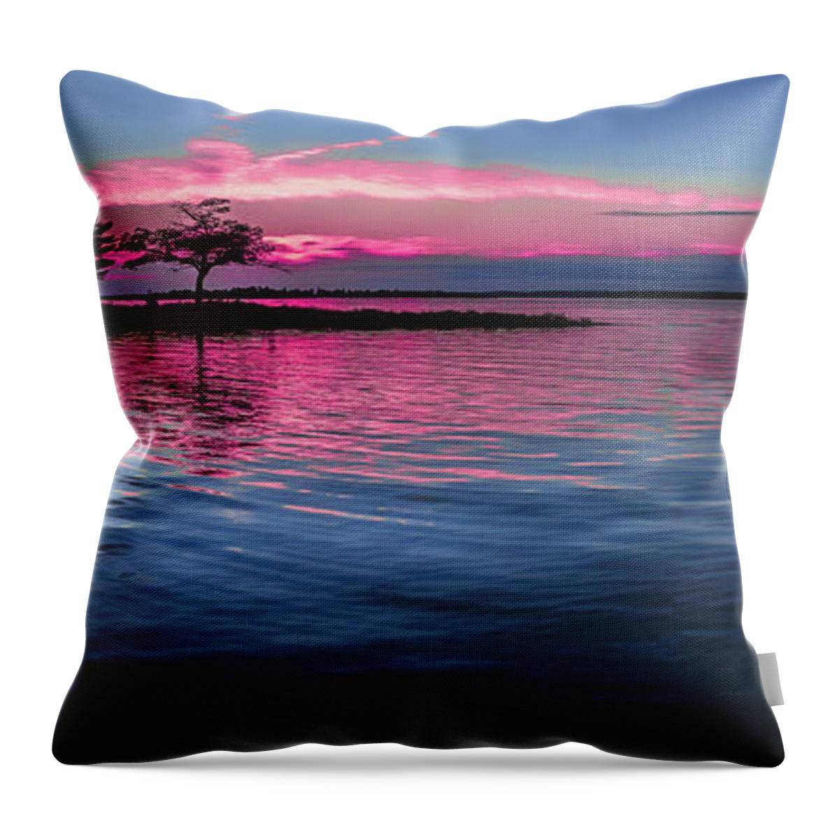 Blue Water Throw Pillow featuring the photograph My Favorite Tree by Joe Holley