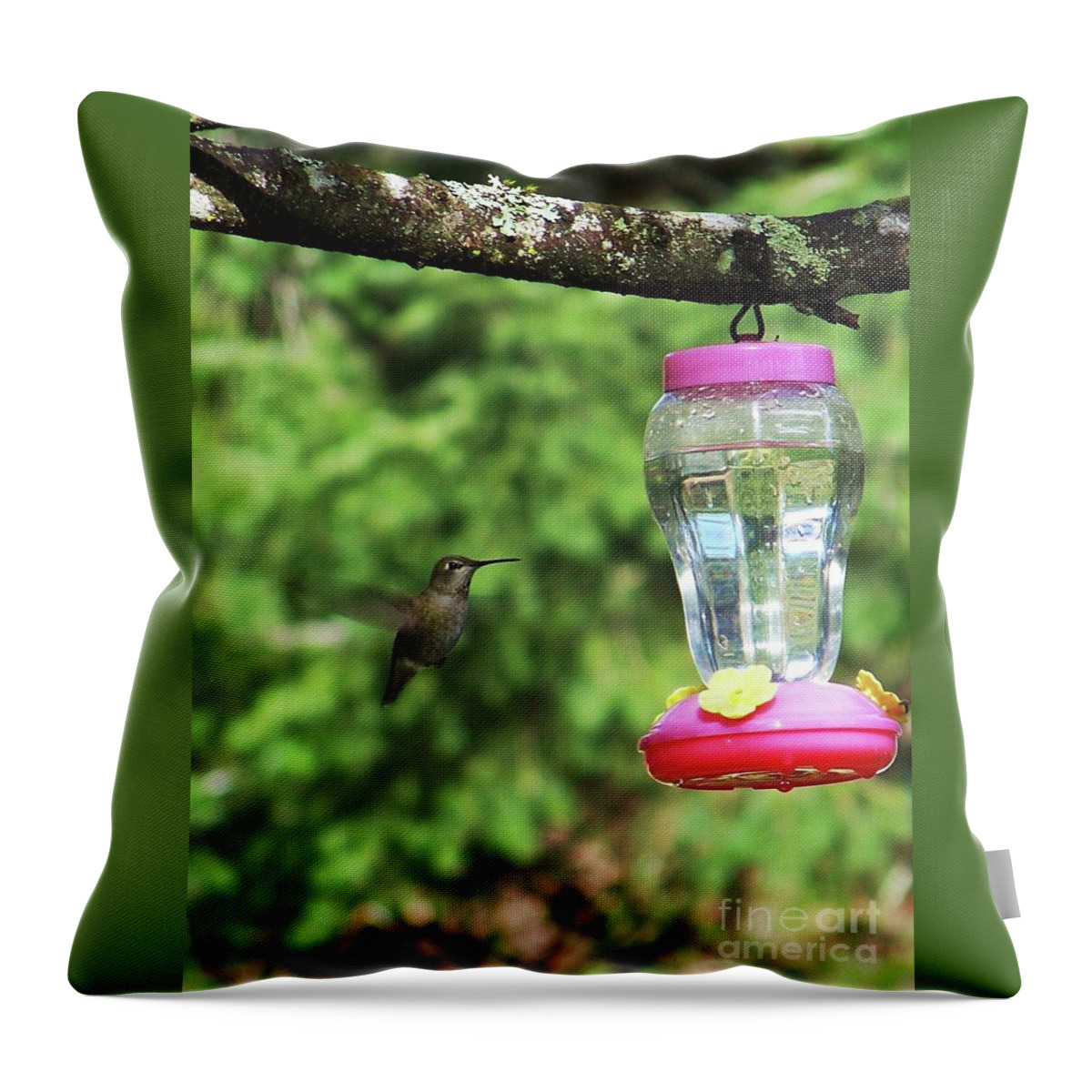 Hummingbird Throw Pillow featuring the photograph My Winter Hummingbird by Julie Rauscher
