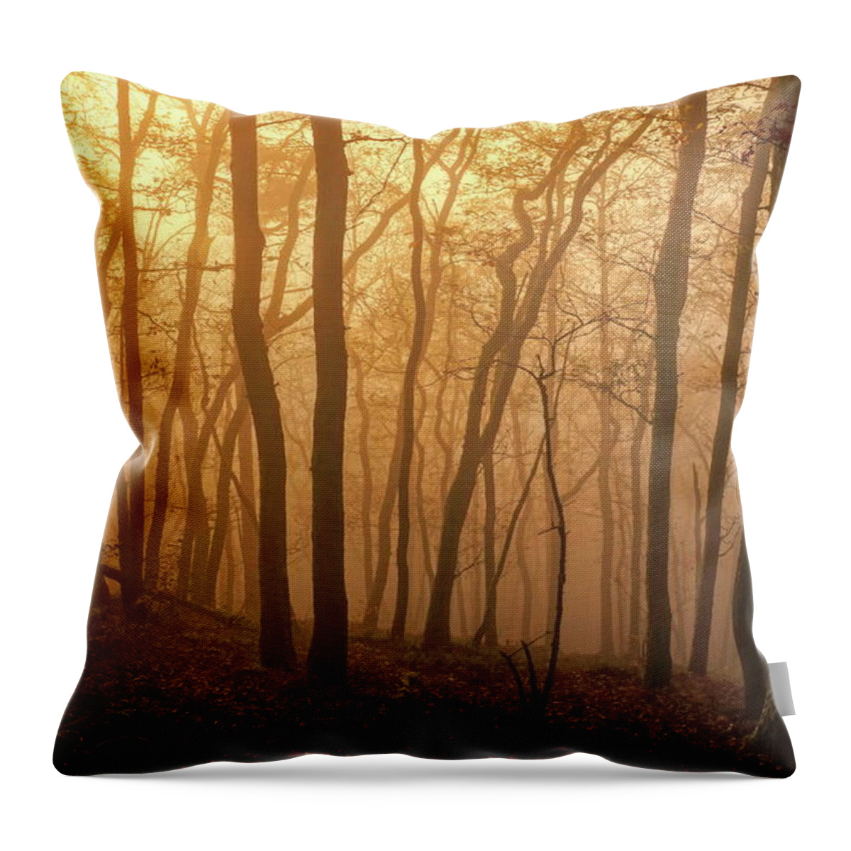 Estock Throw Pillow featuring the digital art Mysterious Woods by Hans-peter Merten