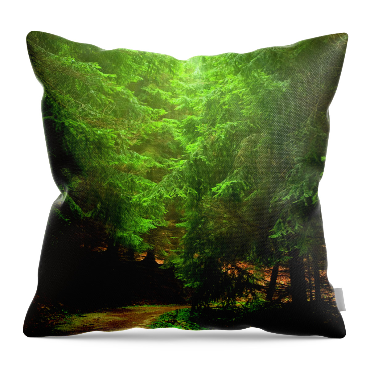 Adventure Throw Pillow featuring the photograph Mysty Forest Path by Cesair