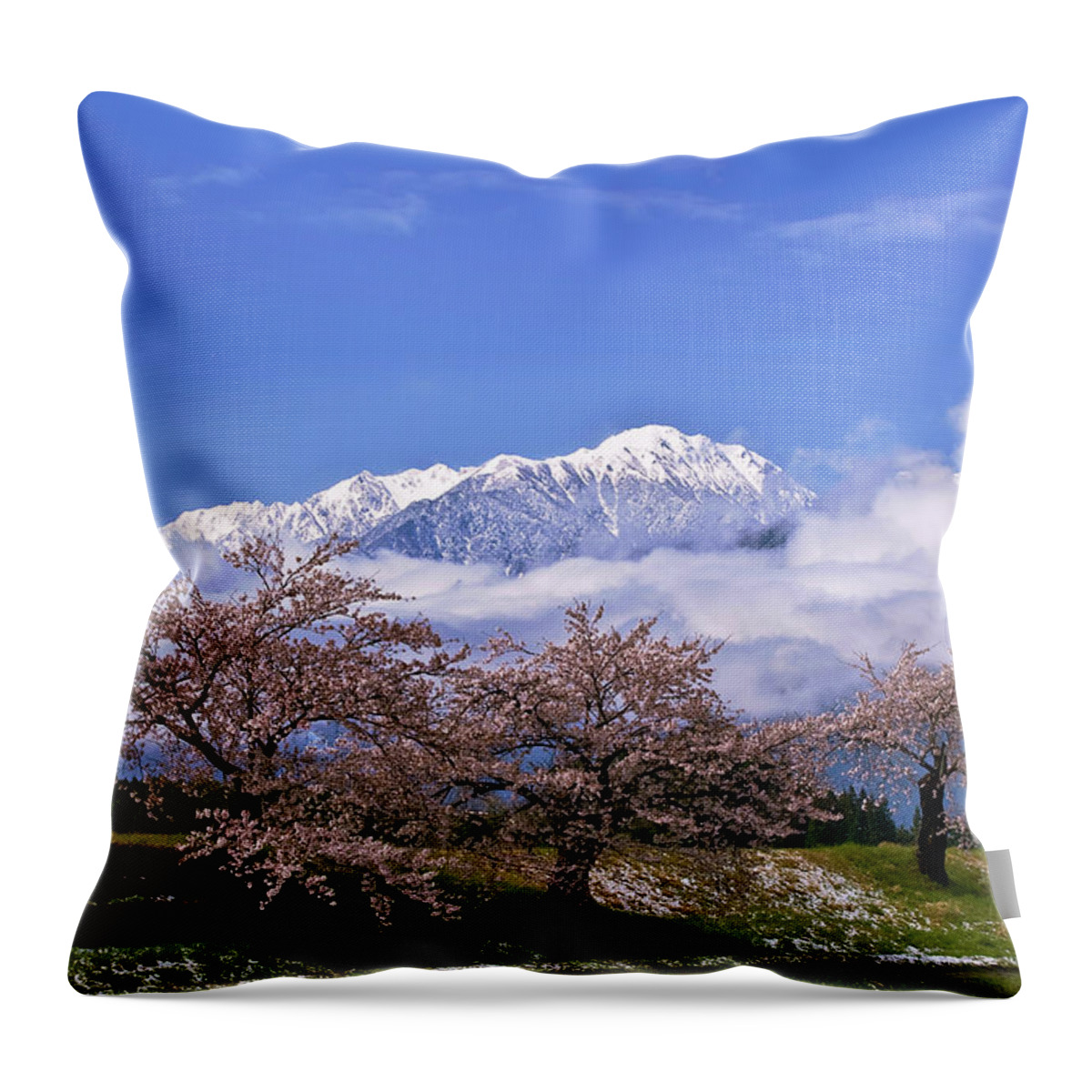 Tranquility Throw Pillow featuring the photograph Nagano Sakura by Huayang