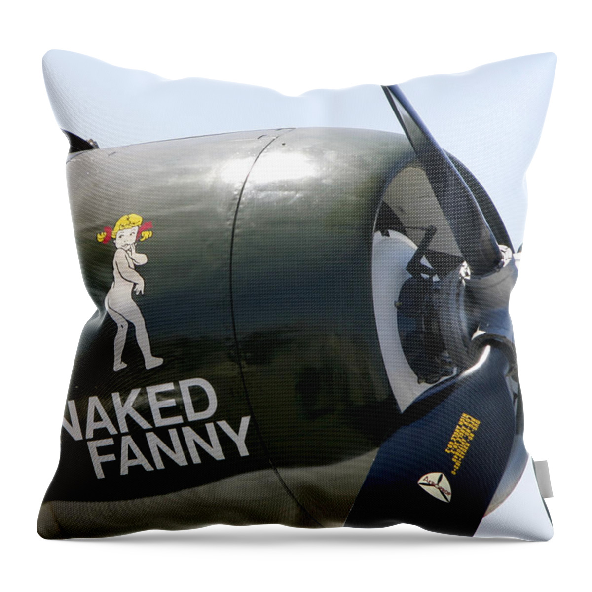 Plane Throw Pillow featuring the photograph Naked Fanny by Anthony Jones