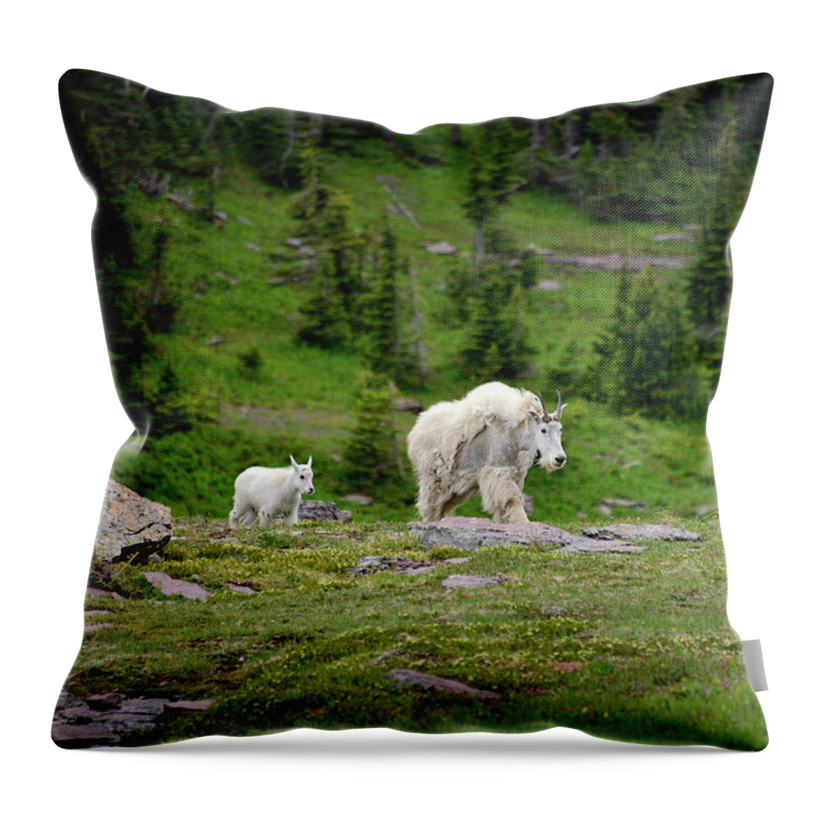Goats Throw Pillow featuring the photograph Nanny and Kid 1 by Roger Snyder