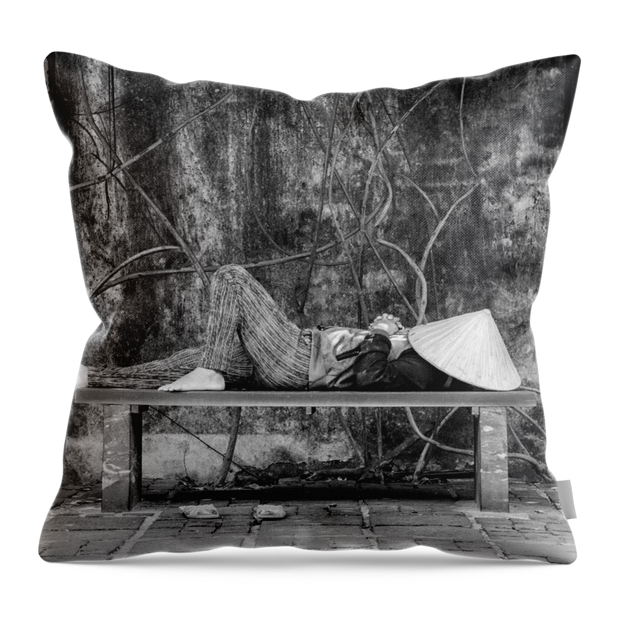 Vietnam Throw Pillow featuring the photograph Nap Time by Rand Ningali