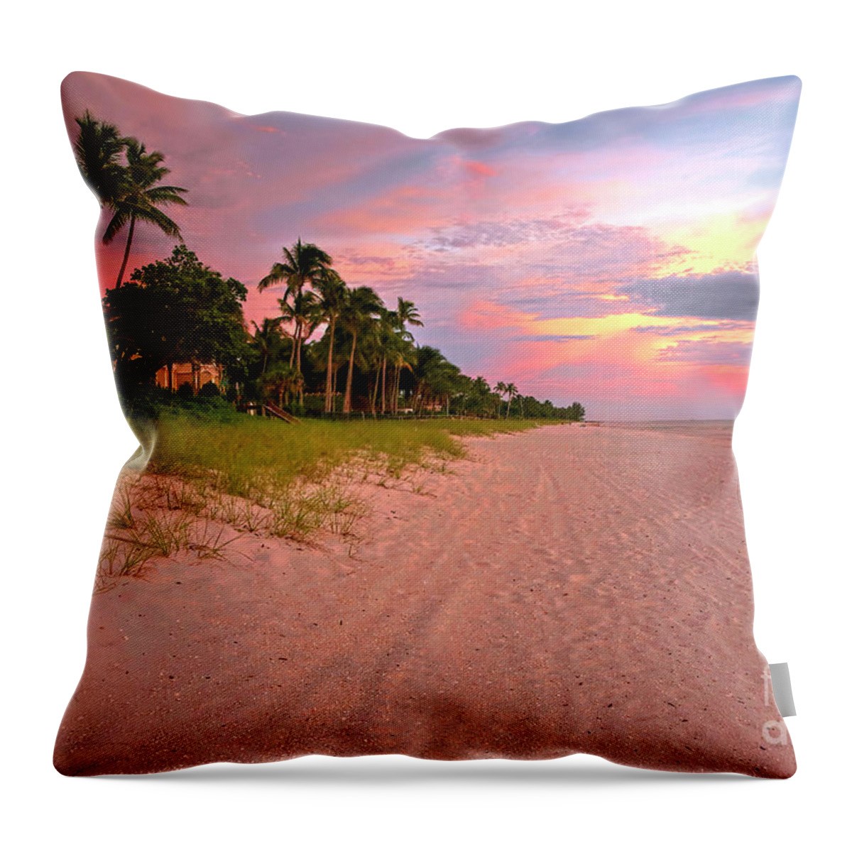 Photographs Throw Pillow featuring the photograph Naples Beach At Sunset, Florida by Felix Lai