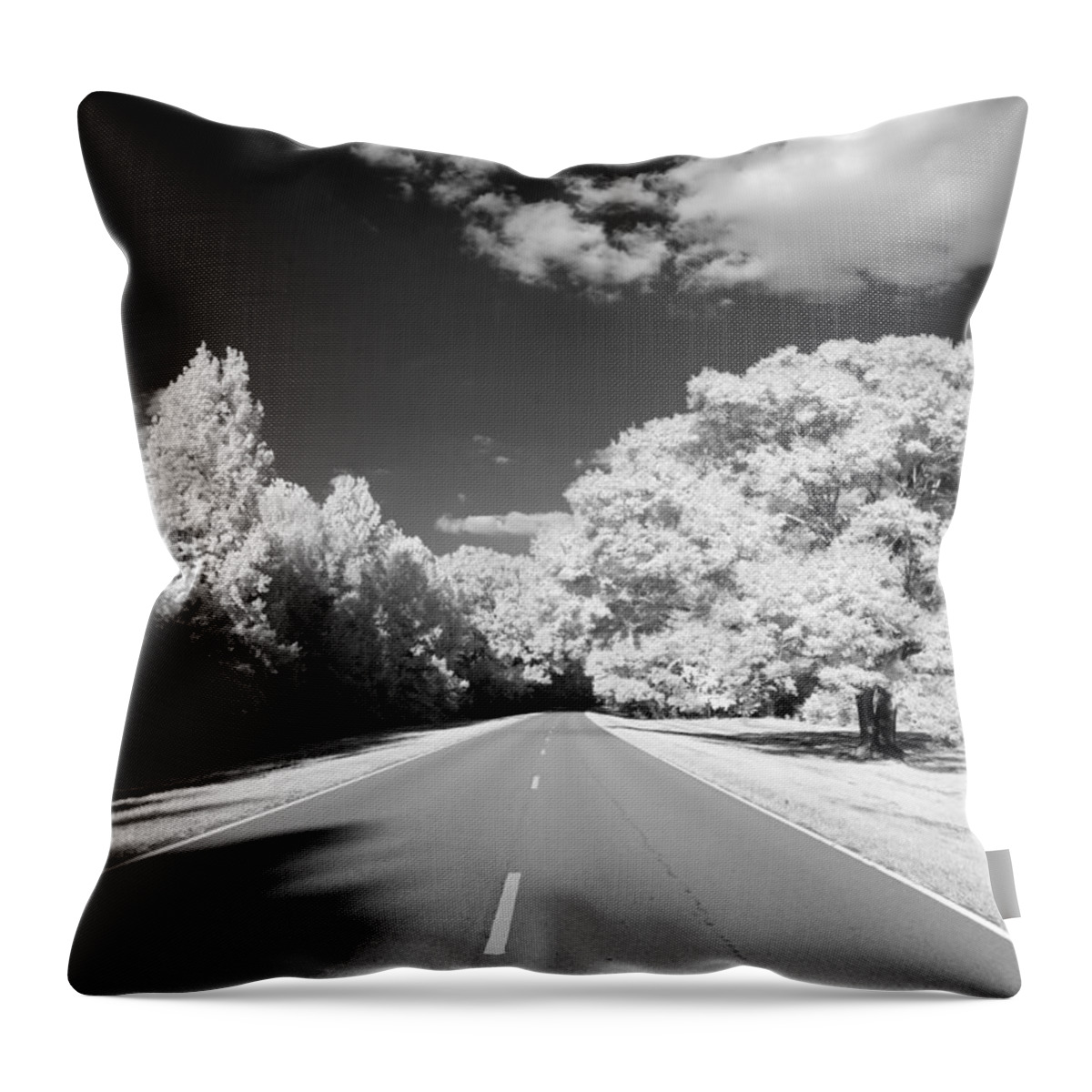 Scenery Throw Pillow featuring the painting Natchez Trace Parkway, Mississippi by 