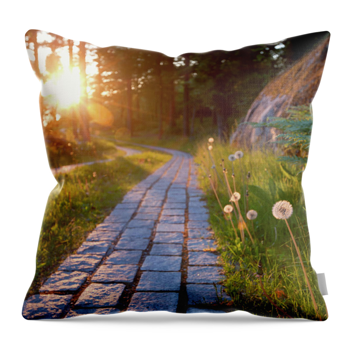 Scenics Throw Pillow featuring the photograph Nature In Sunset by Elin Enger