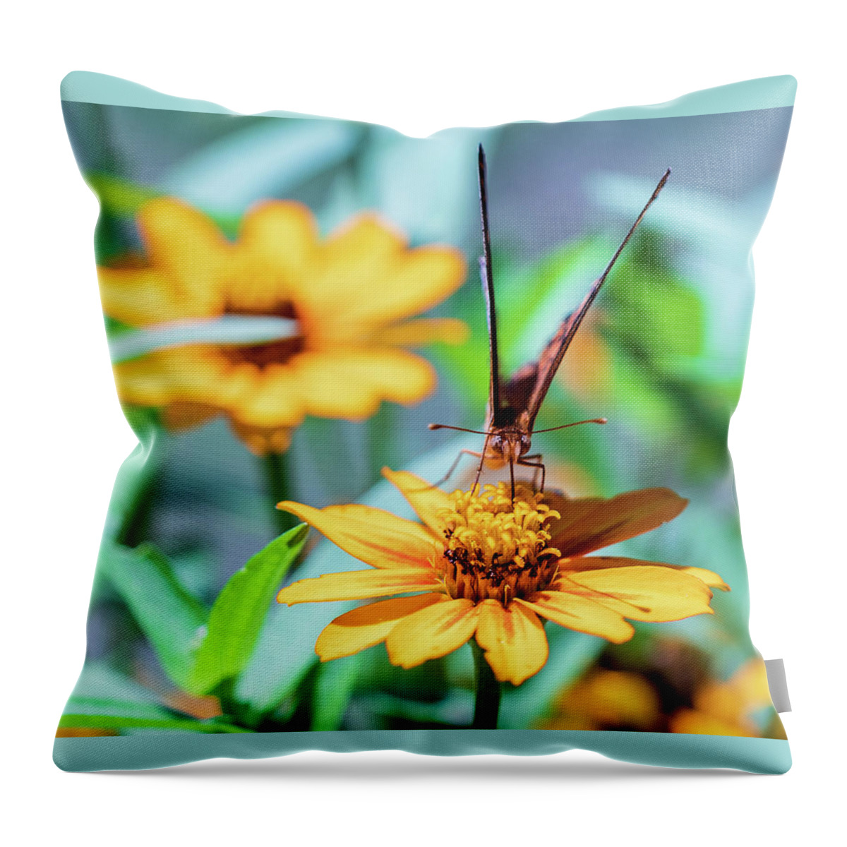 Arboretum Throw Pillow featuring the photograph Nature Photography Butterfly by Amelia Pearn