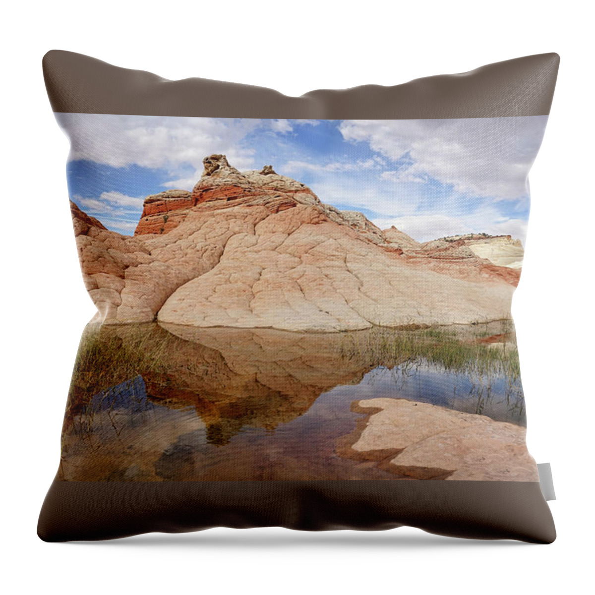 White Pocket Throw Pillow featuring the photograph Nature's Construction by Leda Robertson