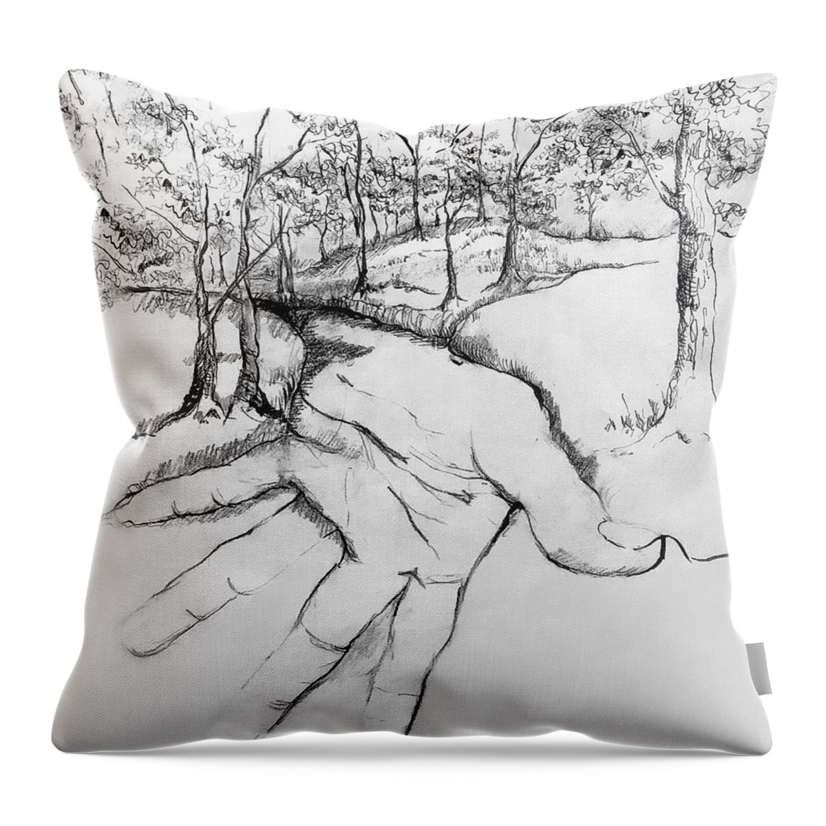 Conte Crayon Throw Pillow featuring the photograph Natures Touch by Art Cole