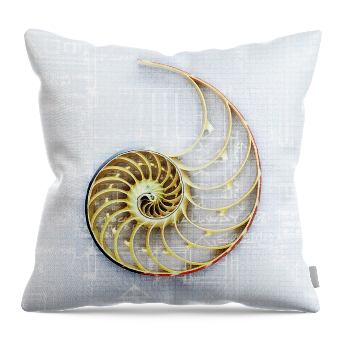 Curve Throw Pillow featuring the photograph Nautilus Shell On Blueprint, Close-up by David Muir