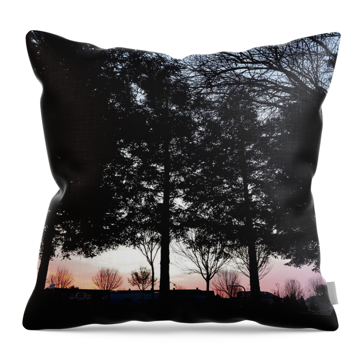 Landscape Throw Pillow featuring the photograph Neighborhood Dawn by Richard Thomas