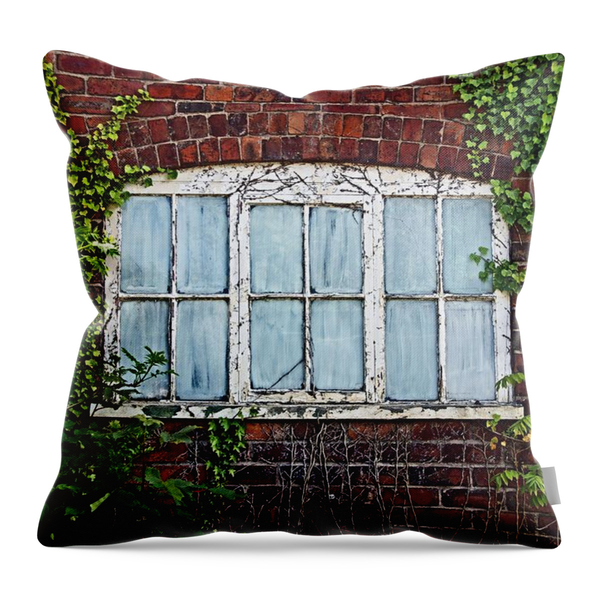 Wirral Throw Pillow featuring the photograph Ness Gardens. Window. by Lachlan Main