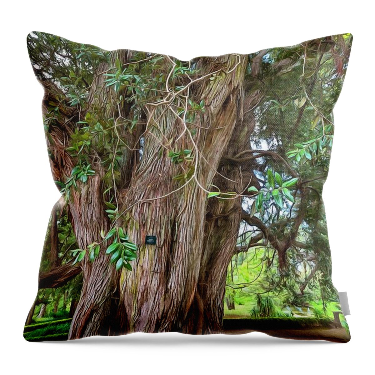 Metrosideros Excelsa Throw Pillow featuring the photograph New Zealand Christmas Tree by Eva Lechner