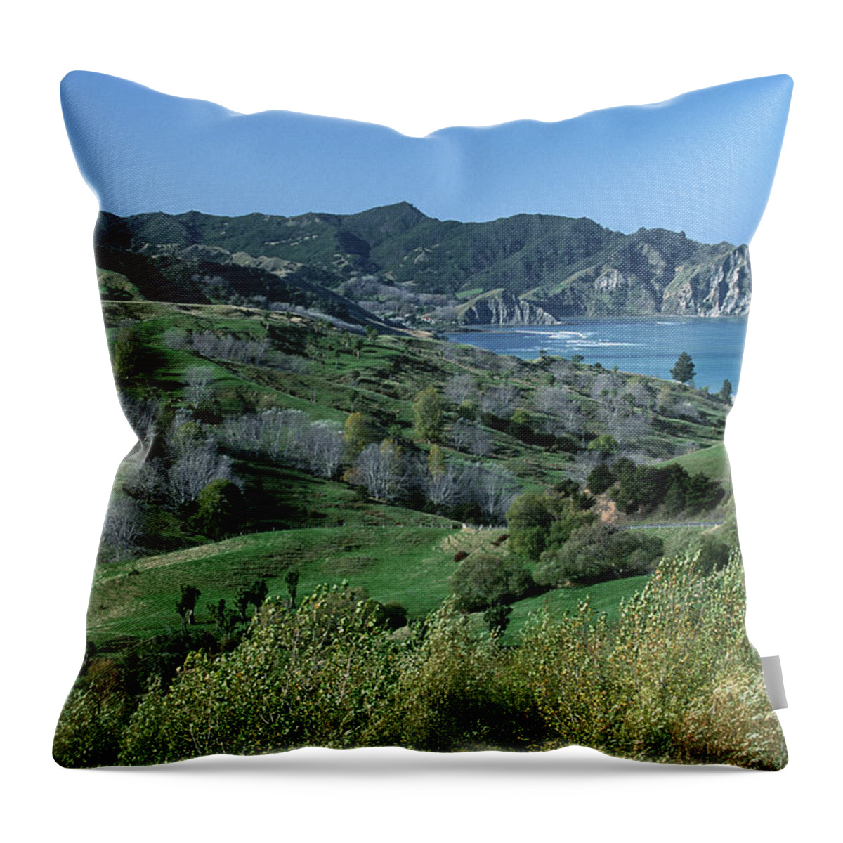 Scenics Throw Pillow featuring the photograph New Zealand, North Island, Hawkes Bay by John Seaton Callahan