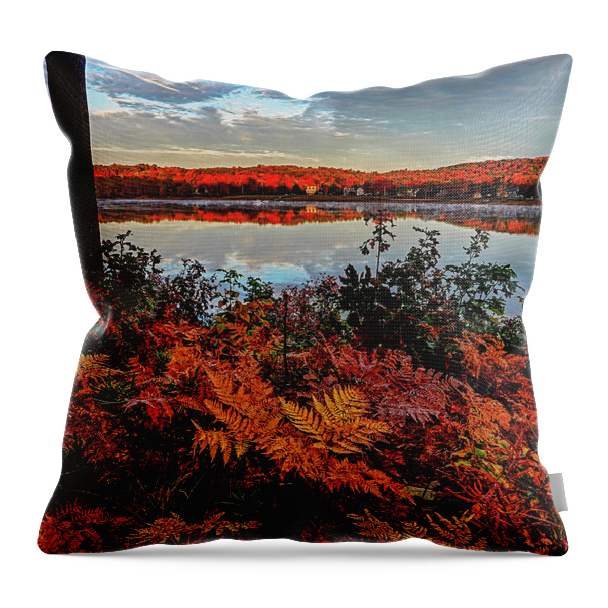 Newburyport Throw Pillow featuring the photograph Newburyport MA Maudslay State Park Fall Foliage Sunrise Merrimack River Reflection Ferns by Toby McGuire