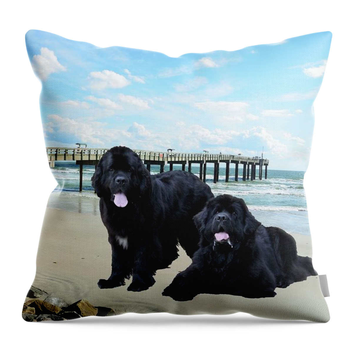 Newfies Throw Pillow featuring the photograph Newfies On St Augustine Beach by Philip And Robbie Bracco