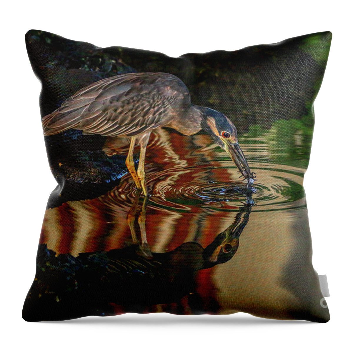 Heron Throw Pillow featuring the photograph Night Heron Catch by Tom Claud