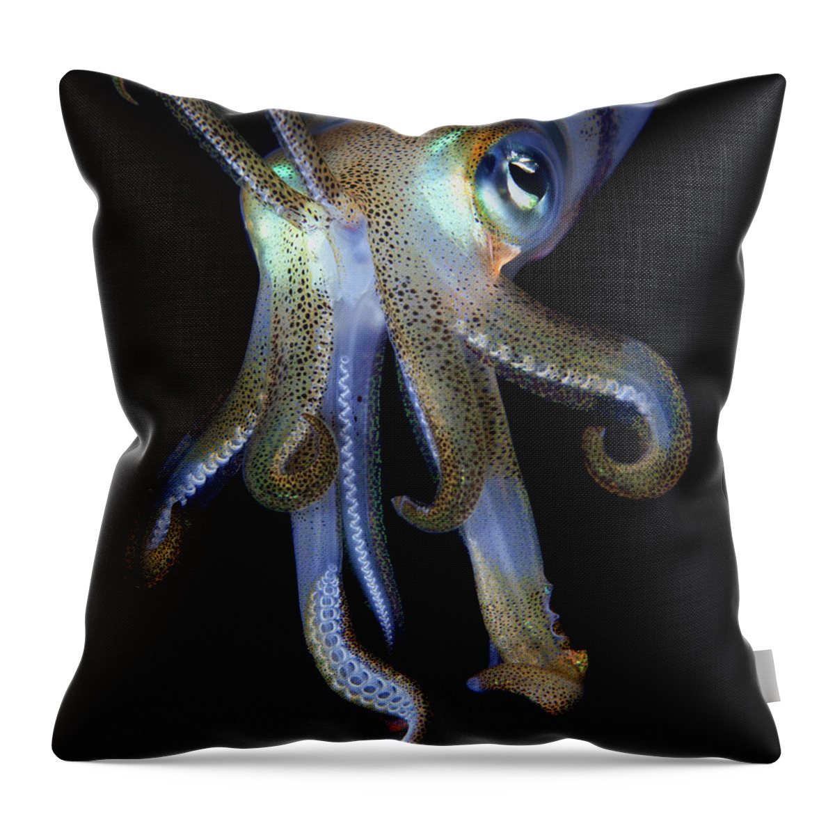 Underwater Throw Pillow featuring the photograph Night Observer by Nature, Underwater And Art Photos. Www.narchuk.com