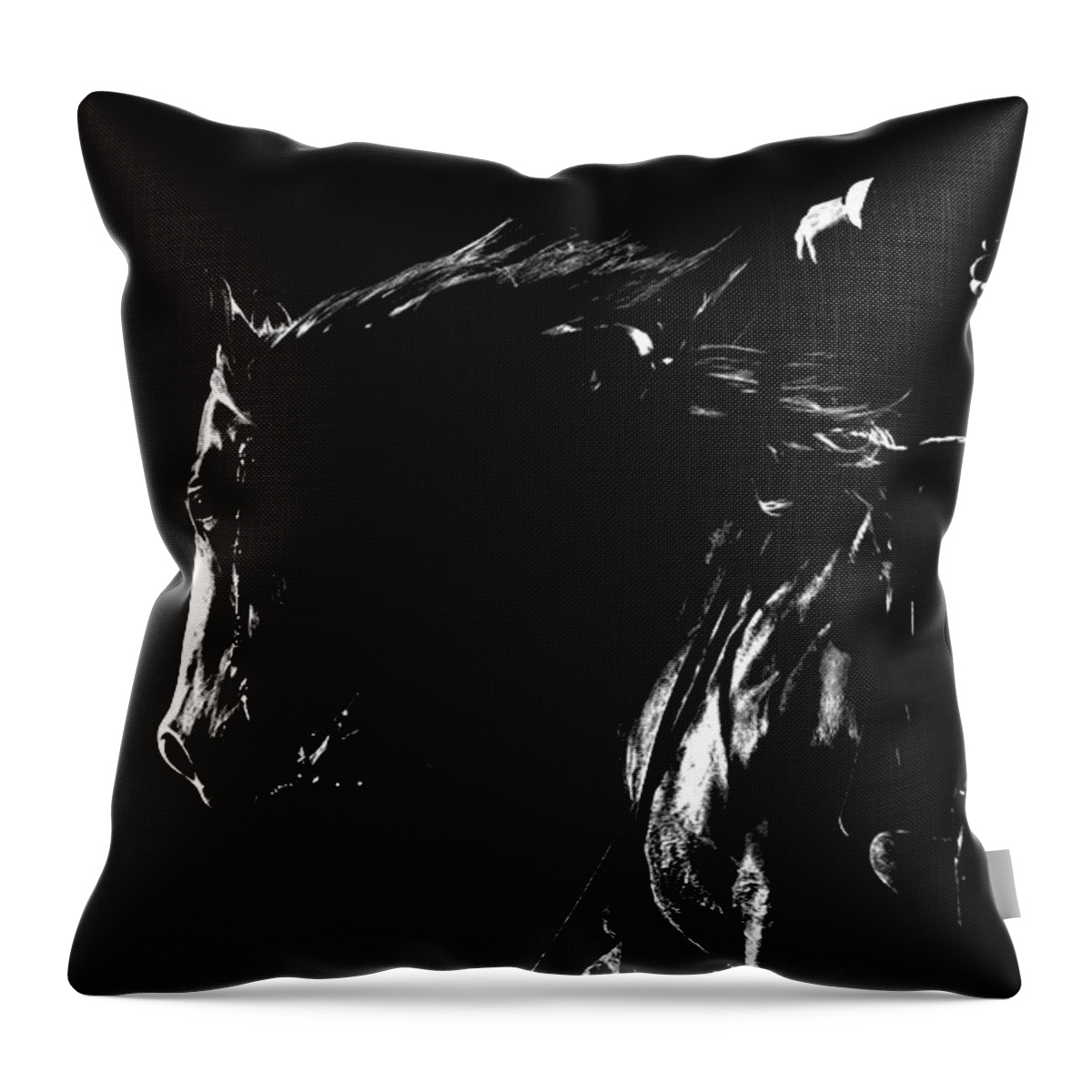 Horse Throw Pillow featuring the photograph Night Riders by Lincoln Rogers