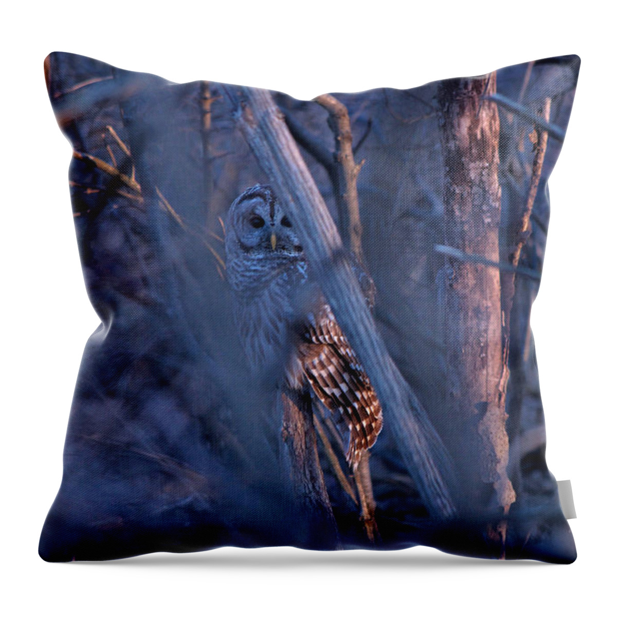 Barred Owl Throw Pillow featuring the photograph Night Watchman by Nunweiler Photography