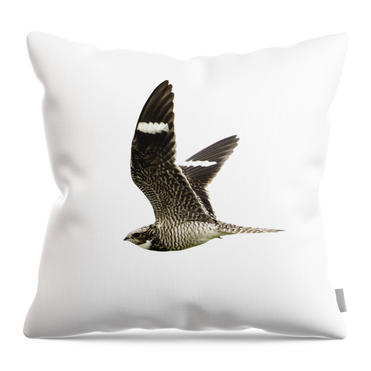 Bird Throw Pillow featuring the photograph Nightjar by Jeff Phillippi