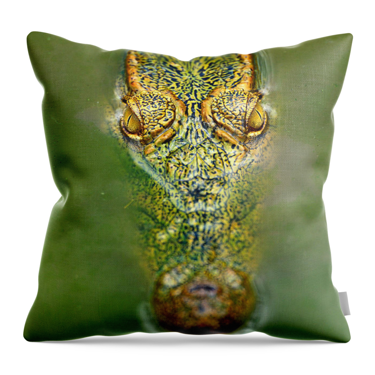 Animal Themes Throw Pillow featuring the photograph Nile Crocodile Crocodylus Niloticus by Art Wolfe