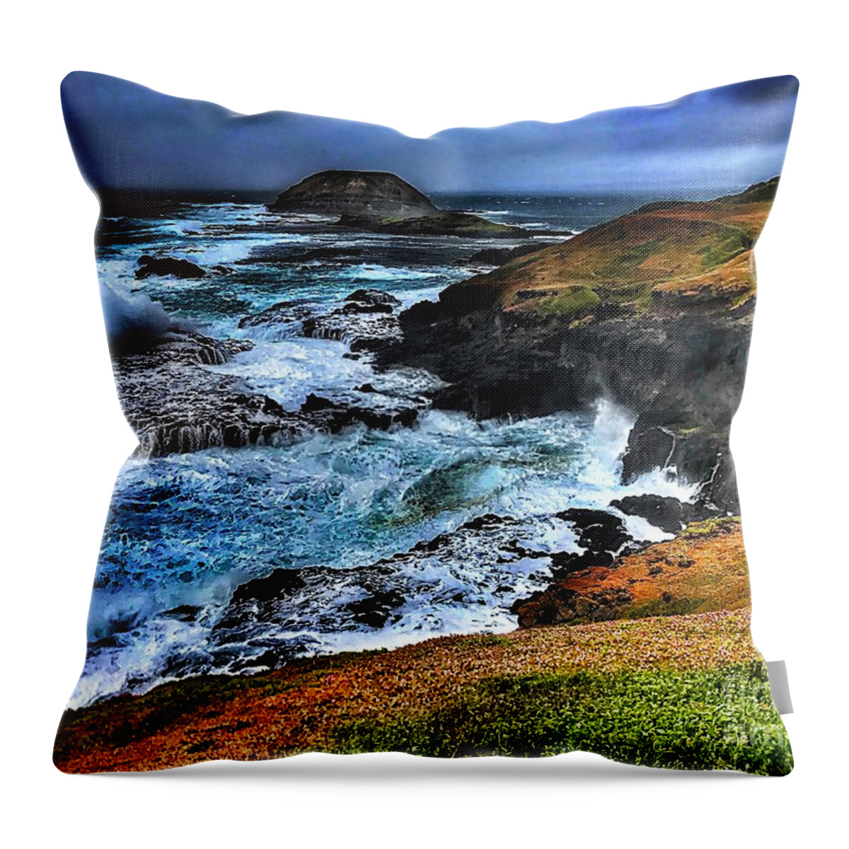 Nobbies Throw Pillow featuring the photograph Nobbies Blowhole by Blair Stuart