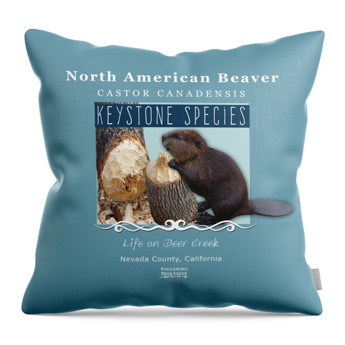 Castor Canadensis Throw Pillow featuring the digital art North American Beaver by Lisa Redfern