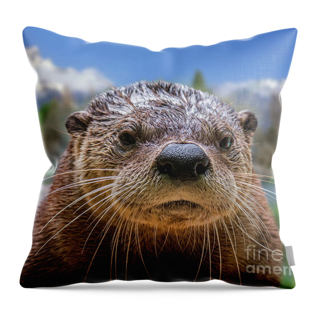 North American River Otter Throw Pillow featuring the photograph North American River Otter by Arterra Picture Library