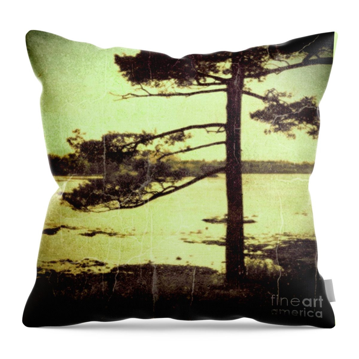 Group Of Seven Throw Pillow featuring the photograph Northern Pine by RicharD Murphy